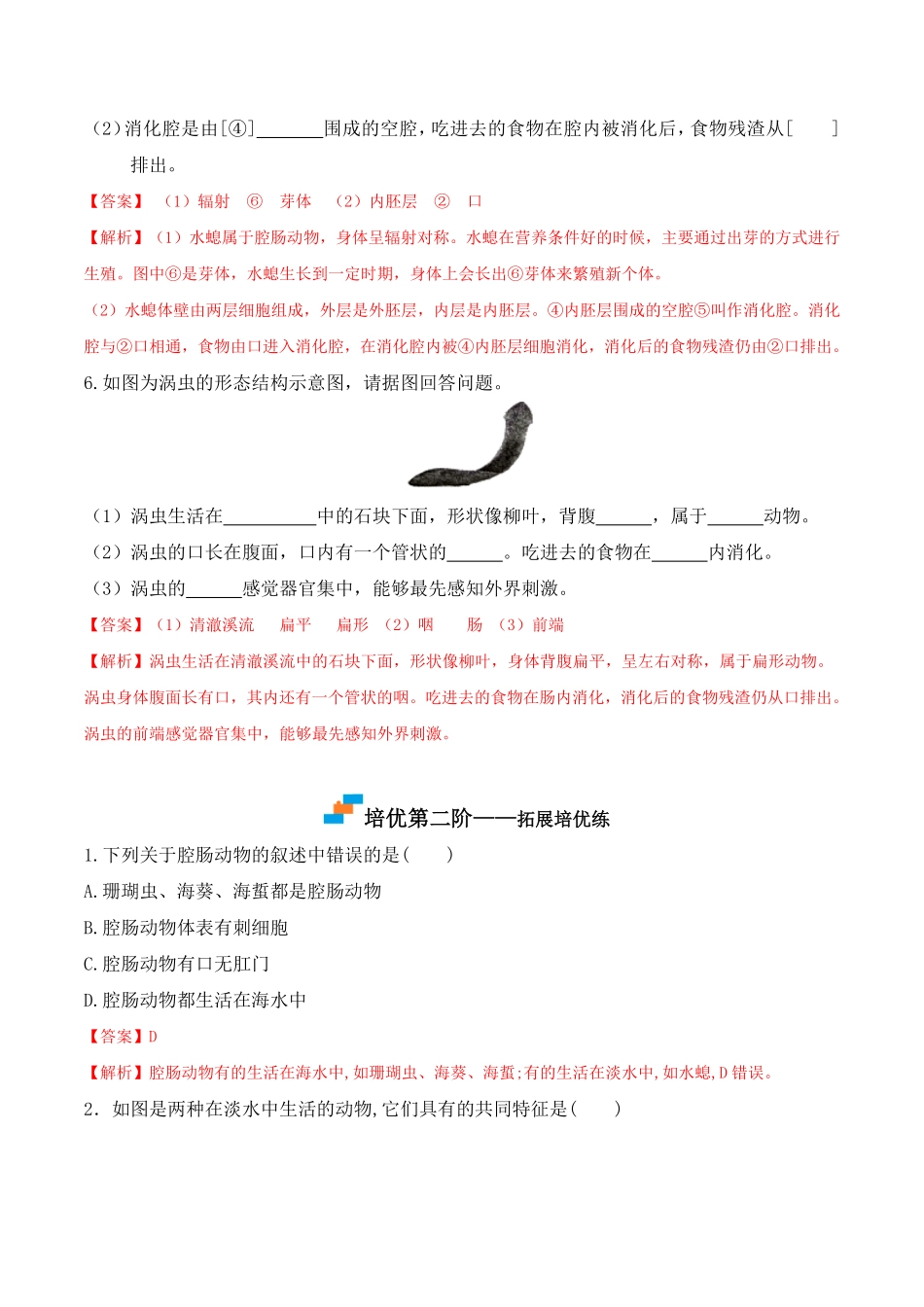 5.1.1腔肠动物和扁形动物八年级生物上册课后培优分级练人教版解析版.pdf_第3页