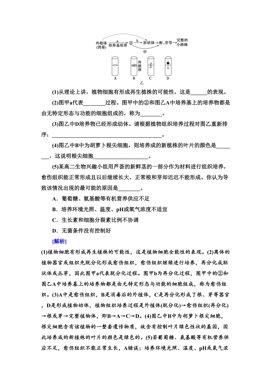 5 植物细胞工程的基本技术 课后作业【新教材】人教版2019高中生物选择性必修3含答案.pdf_第3页