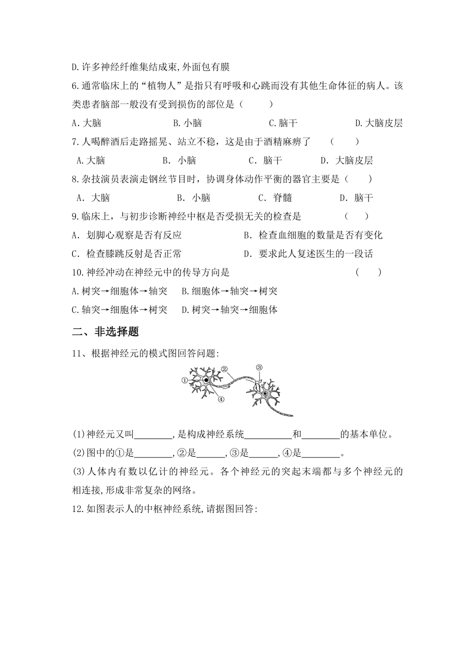 4.6.2神经系统的组成同步测试.pdf_第2页