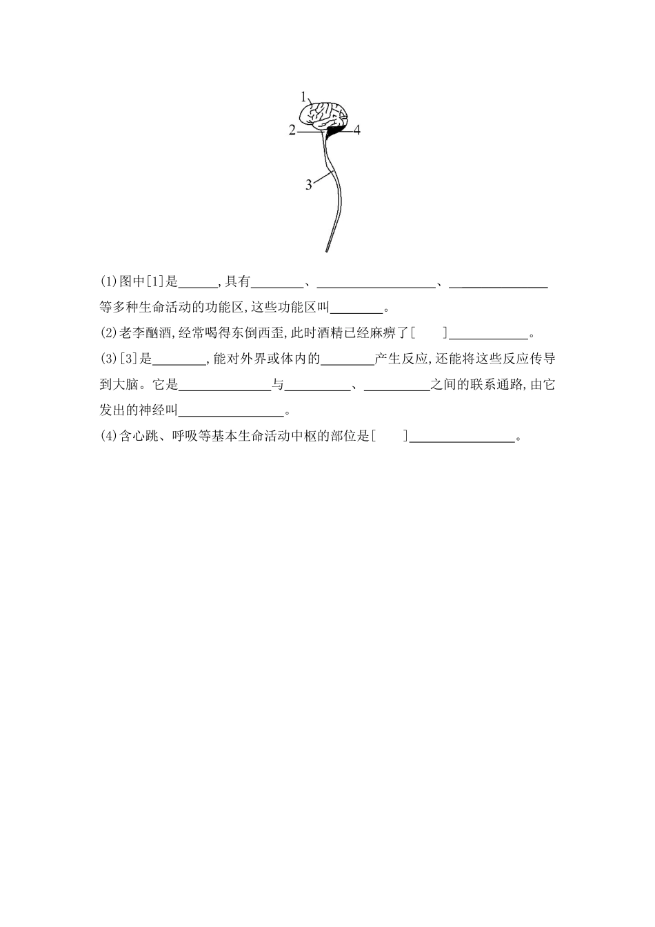 4.6.2神经系统的组成同步测试.pdf_第3页