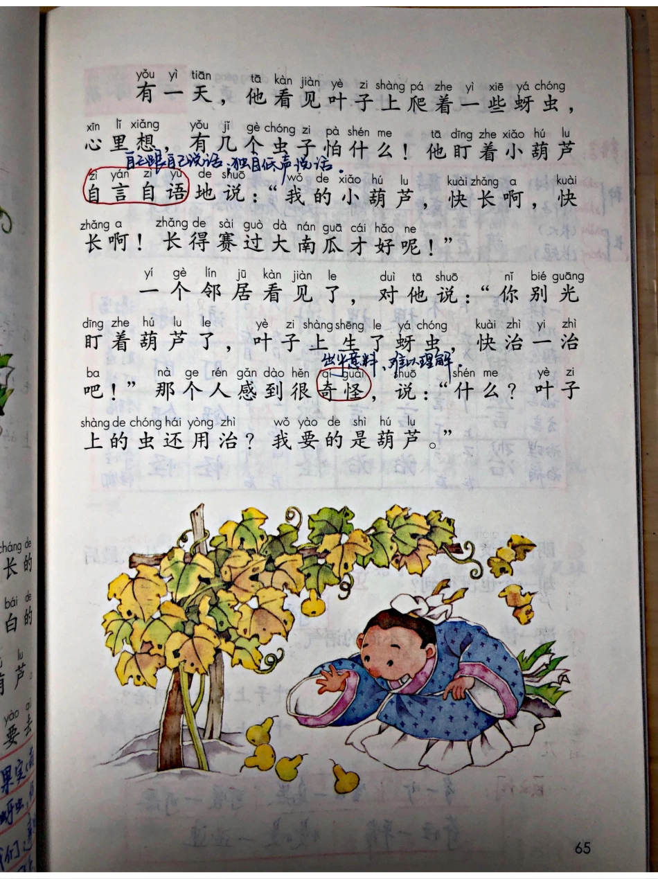 小学二年级上册上学期-部编版语文：我要的是葫芦 预习笔记.pdf_第2页