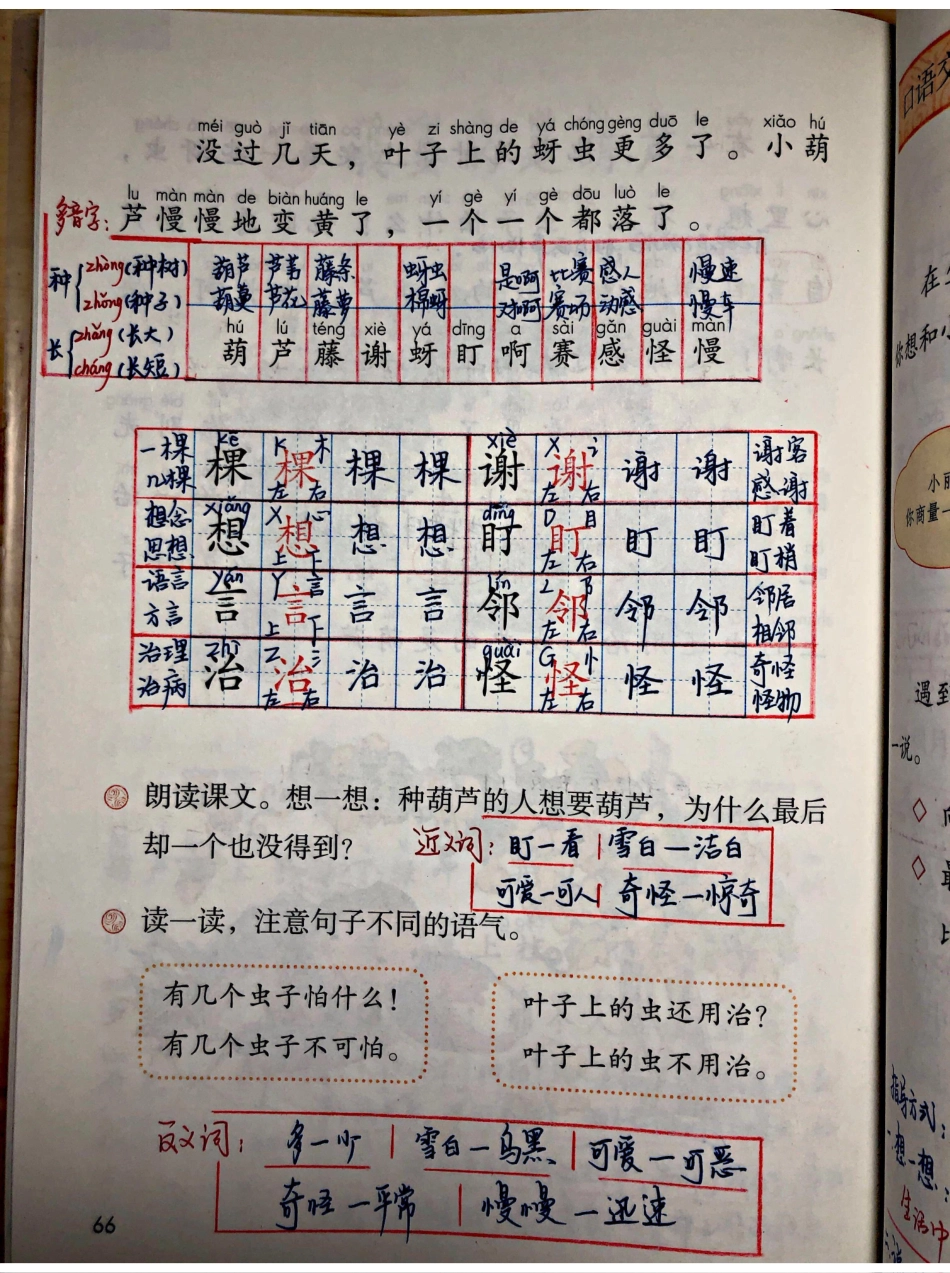 小学二年级上册上学期-部编版语文：我要的是葫芦 预习笔记.pdf_第3页