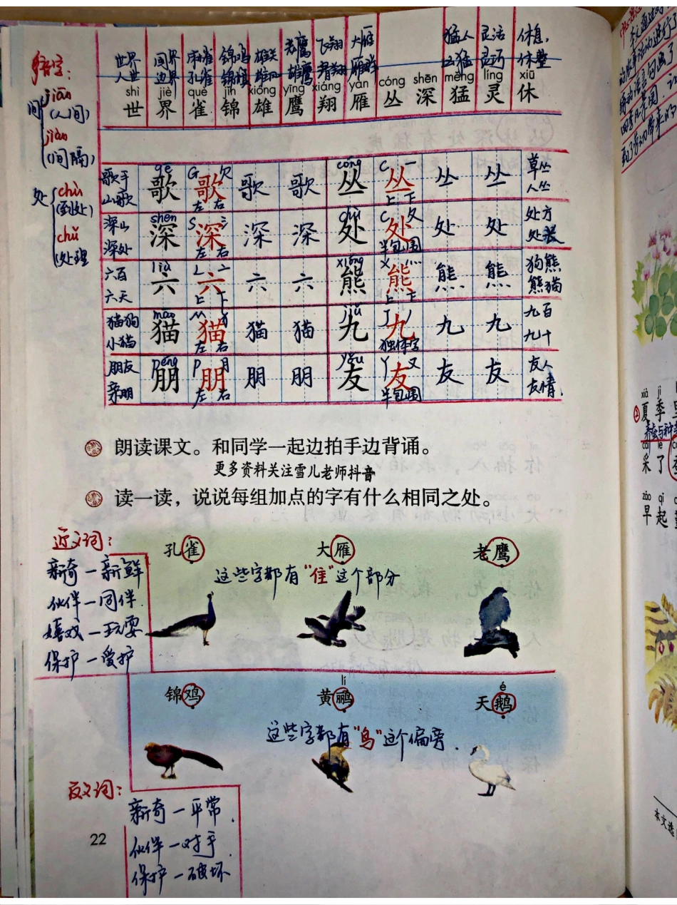 小学二年级上册上学期-部编版语文：识字③预习笔记.pdf_第3页