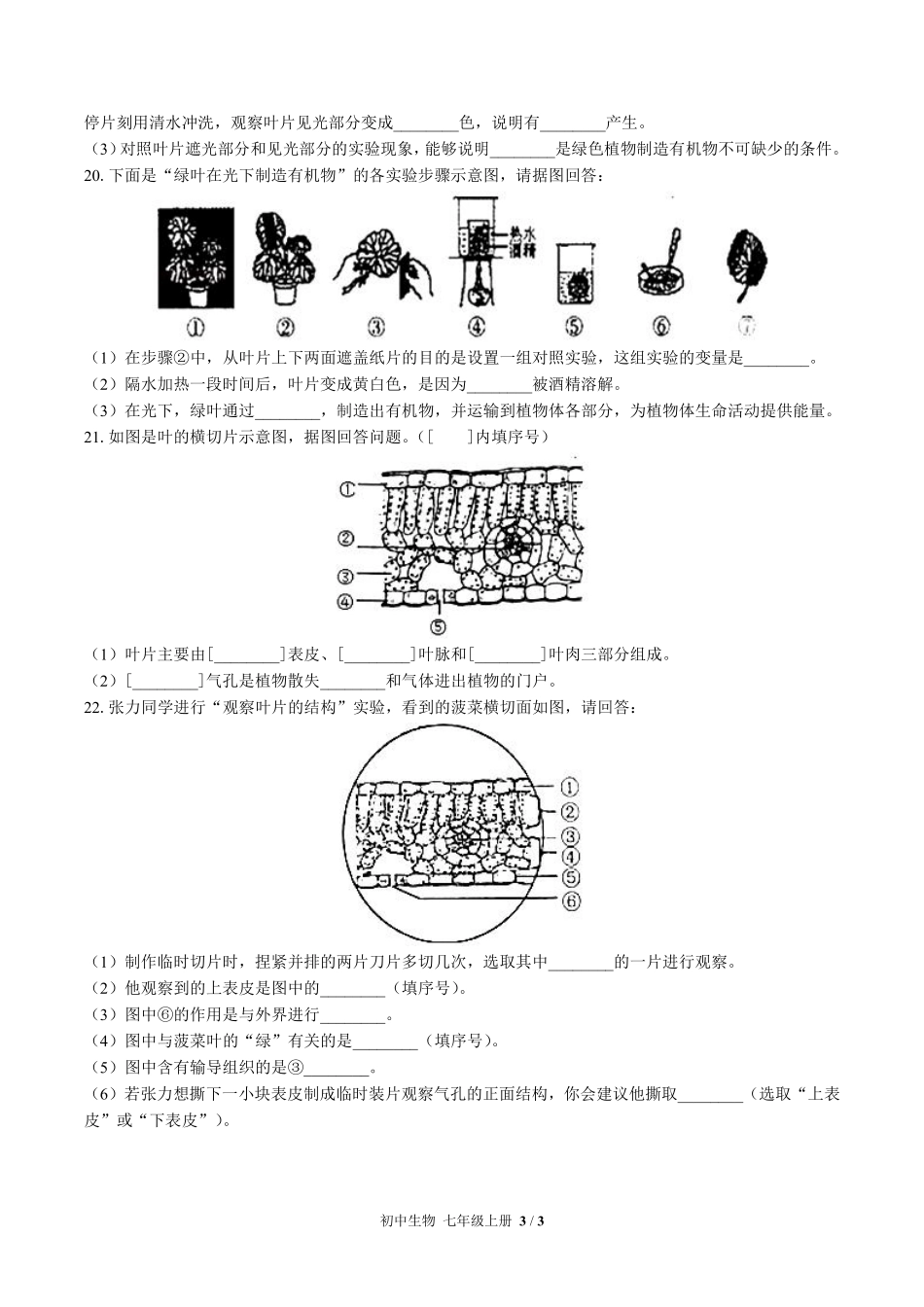 北师大版初中生物七年级上册第7章综合测试试卷-含答案03.pdf_第3页