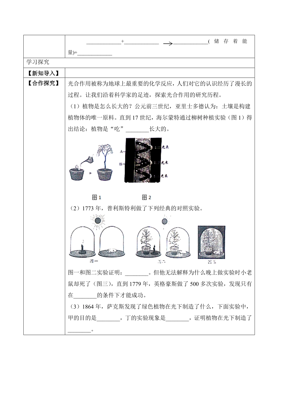 3.5.1光合作用吸收二氧化碳释放氧气学案七年级生物上册同步优质备课资源人教版含答案.pdf_第2页