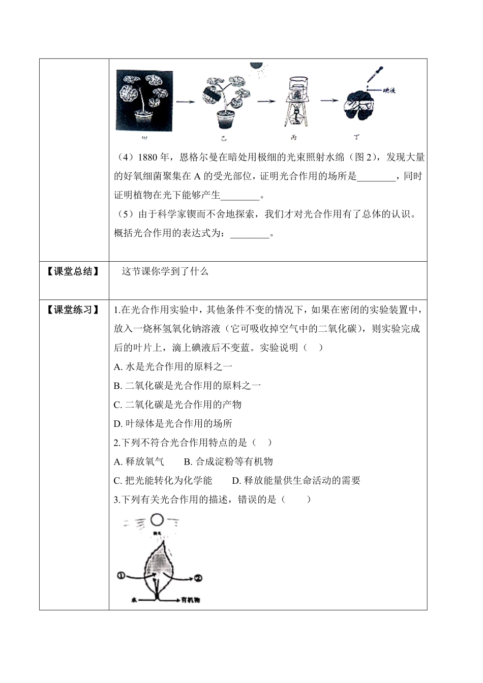 3.5.1光合作用吸收二氧化碳释放氧气学案七年级生物上册同步优质备课资源人教版含答案.pdf_第3页