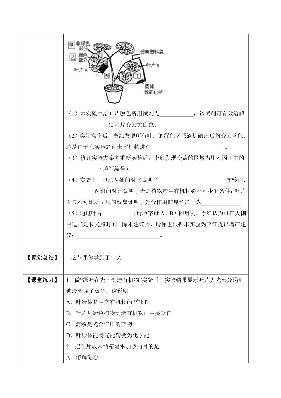 3.4绿色植物是生物圈中有机物的制造者学案七年级生物上册同步优质备课资源人教版含答案.pdf_第3页