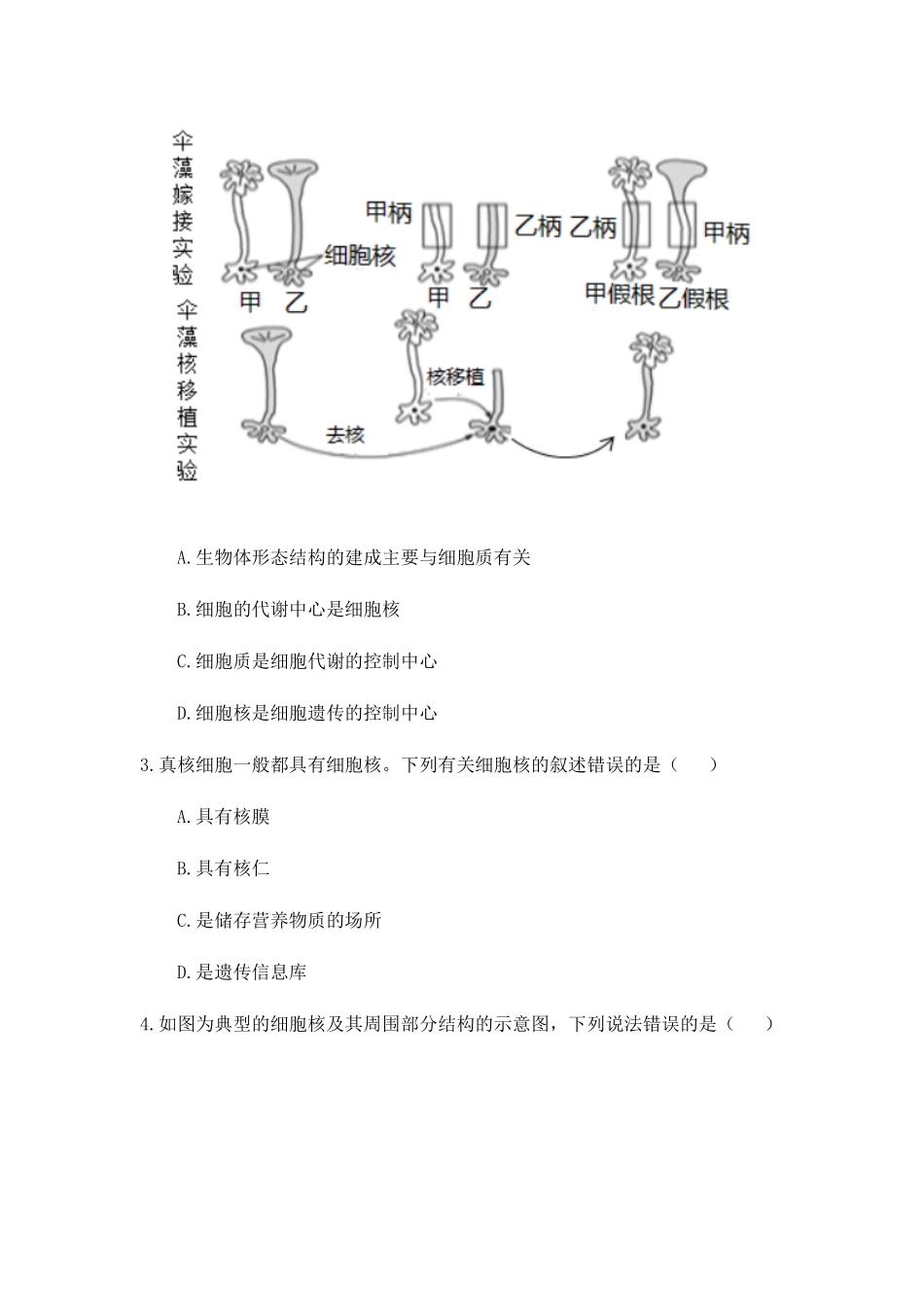 3.3 细胞核的结构和功能 练习【新教材】人教版2019高中生物必修一含答案.pdf_第2页