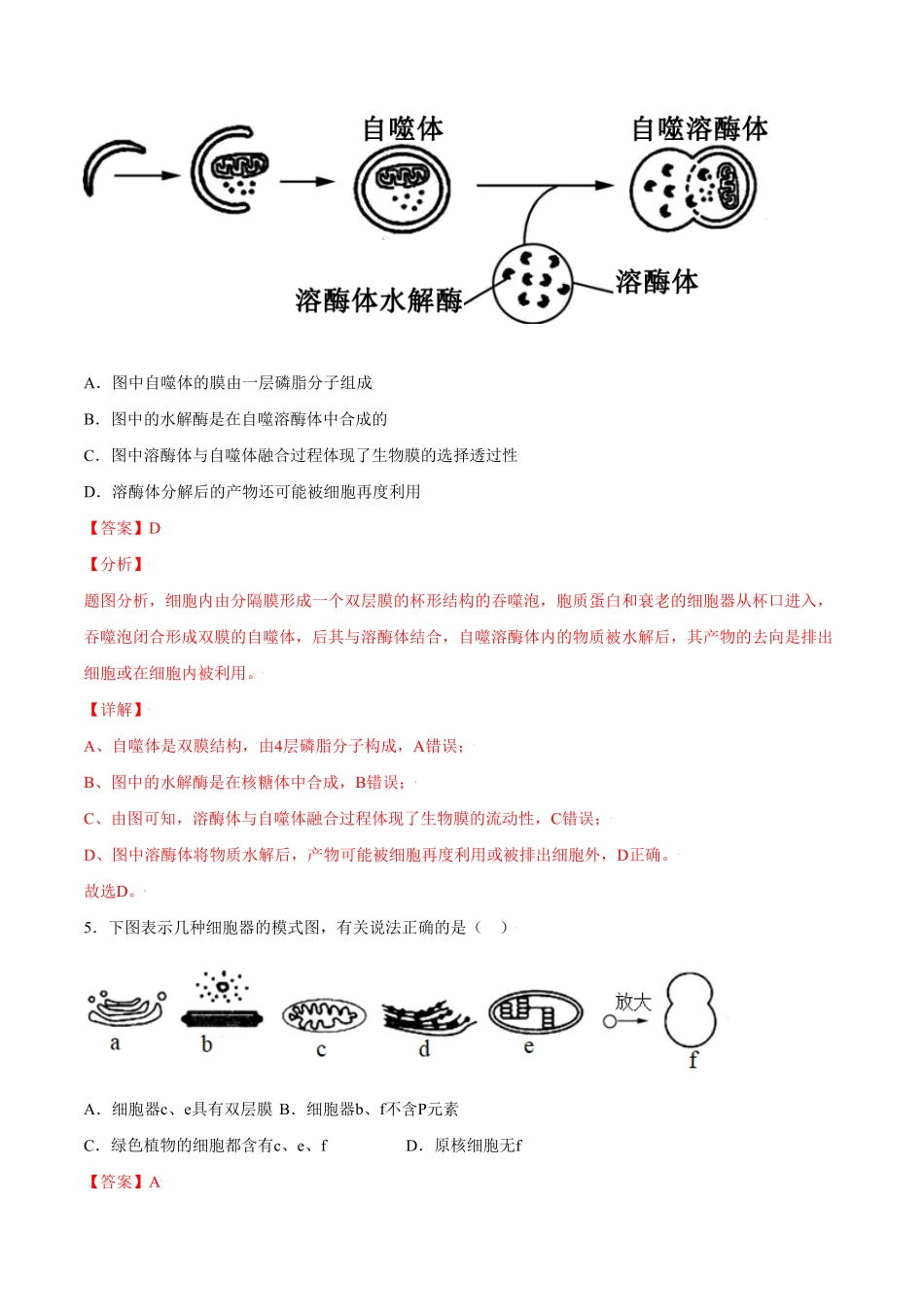 3.2细胞器之间的分工合作高一生物课后培优练人教版2019必修1含答案.pdf_第3页