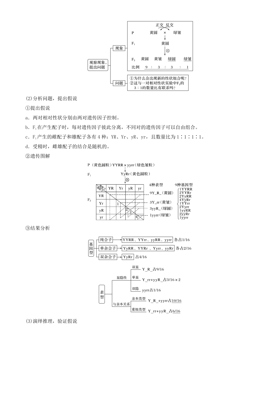 高一生物春学期知识点总结高一下学期生物人教版必修2含答案.pdf_第2页
