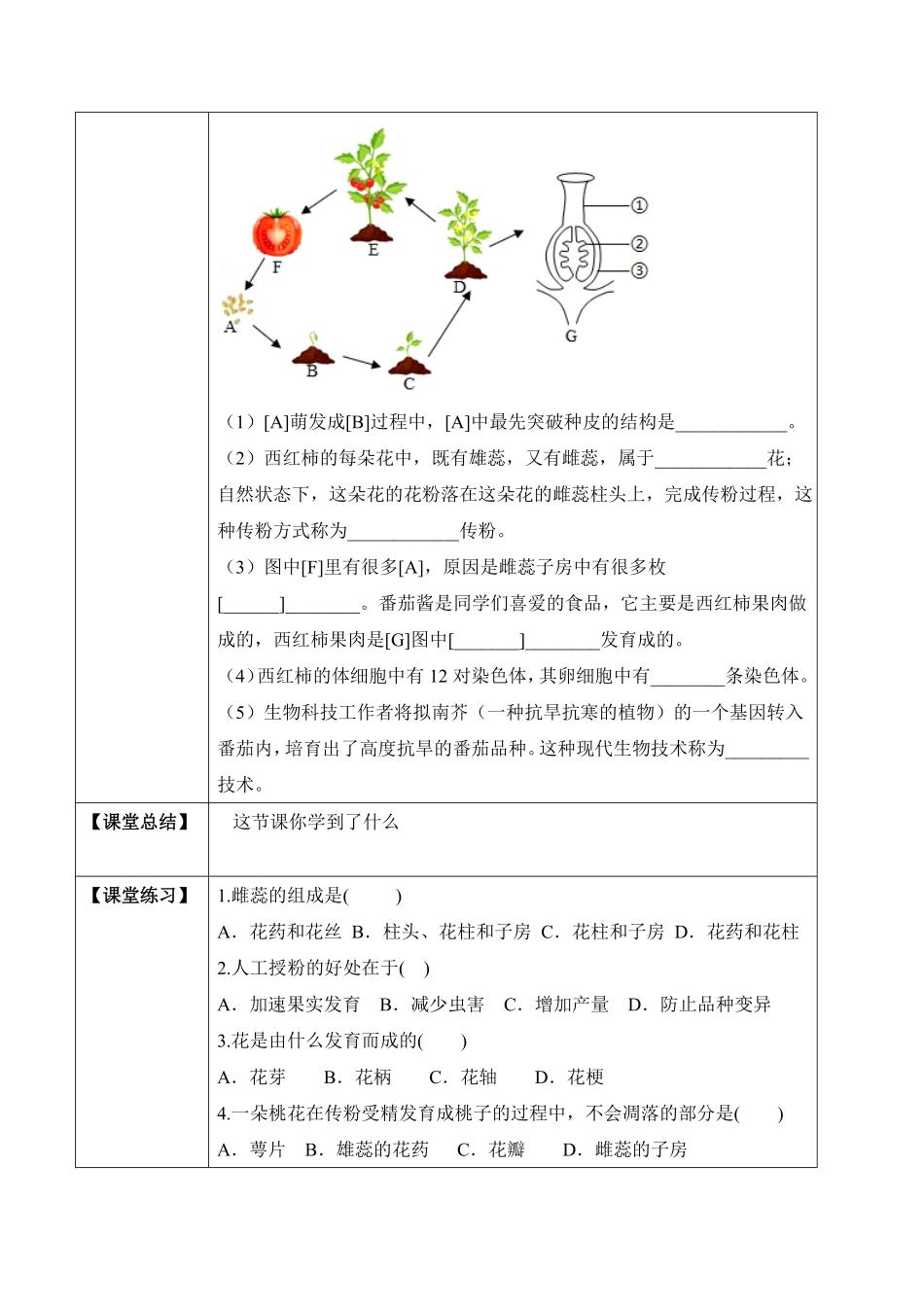 3.2.3开花和结果学案七年级生物上册同步优质备课资源人教版含答案.pdf_第3页