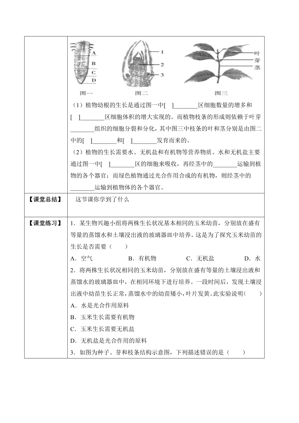 3.2.2植株的生长学案七年级生物上册同步优质备课资源人教版含答案.pdf_第2页