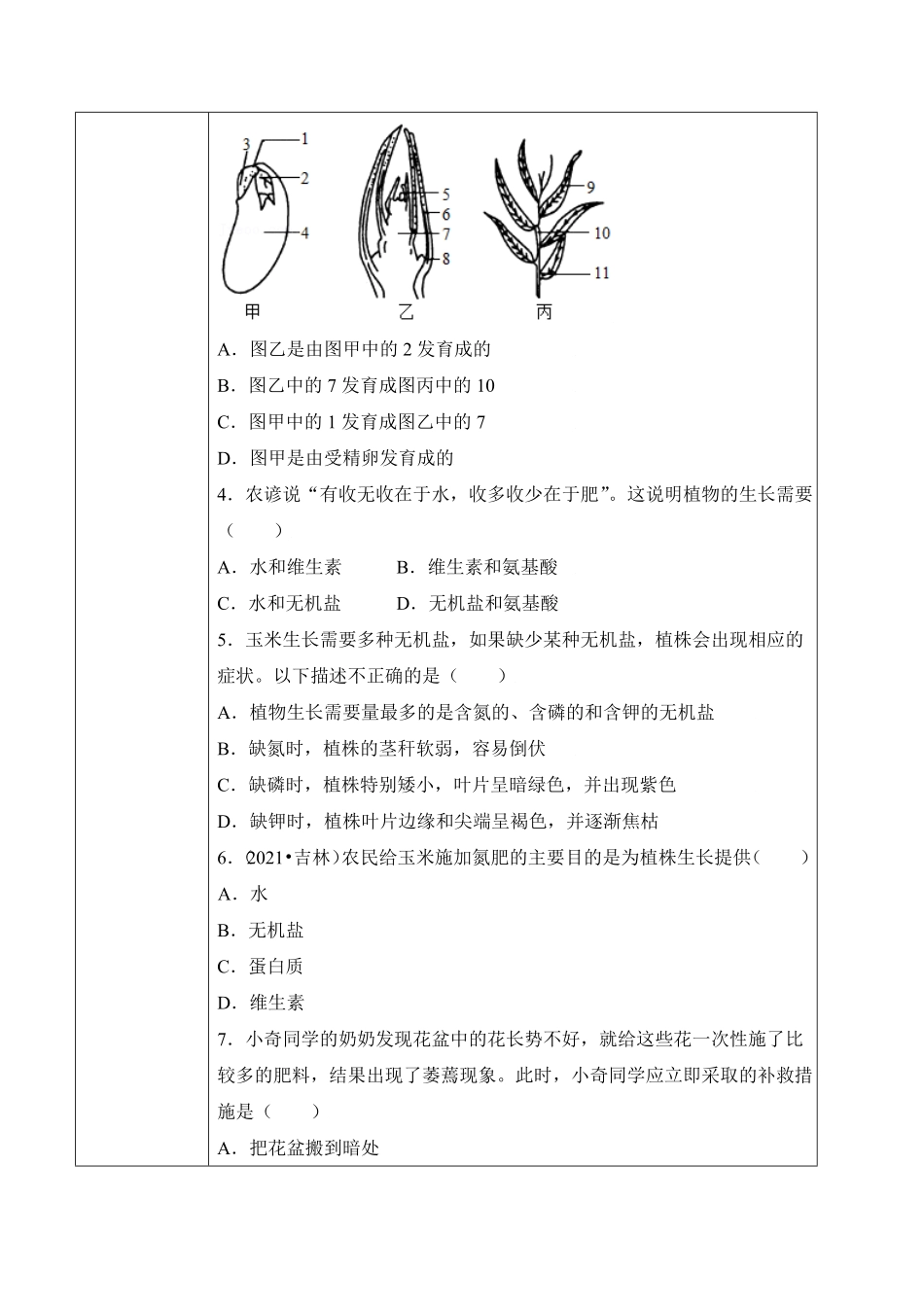3.2.2植株的生长学案七年级生物上册同步优质备课资源人教版含答案.pdf_第3页