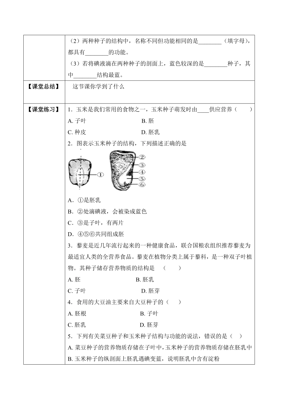3.1.2种子植物学案七年级生物上册同步优质备课资源人教版含答案.pdf_第3页