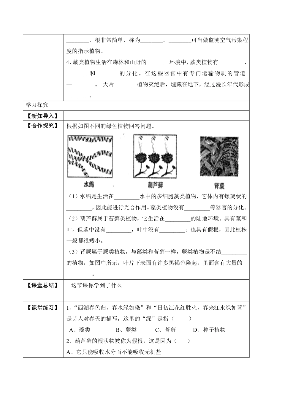3.1.1藻类、苔藓和蕨类植物学案七年级生物上册同步优质备课资源人教版含答案.pdf_第2页