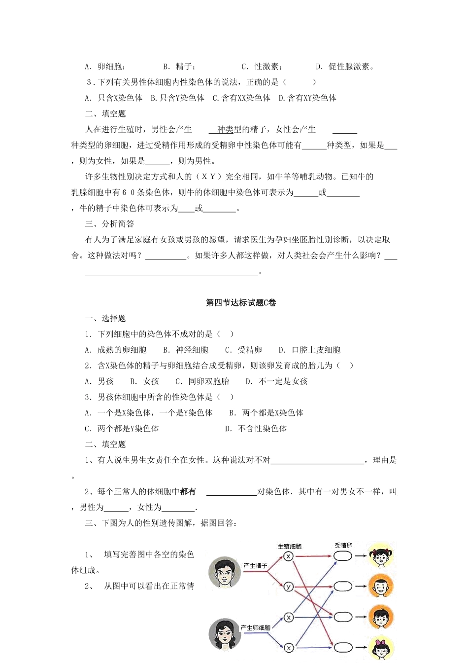 人的性别遗传达标试卷含答案.pdf_第2页