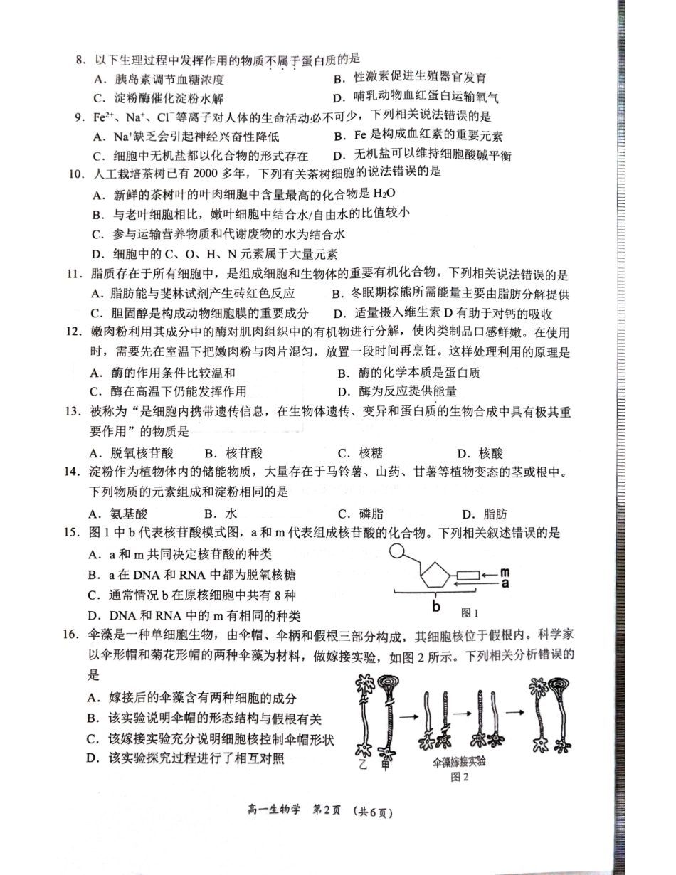 【广西卷】广西壮族自治区柳州市2024级高一12月联考试题（12.3-12.5）生物试卷.pdf_第2页