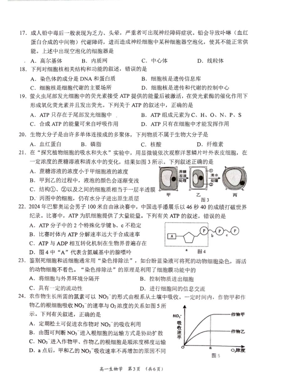 【广西卷】广西壮族自治区柳州市2024级高一12月联考试题（12.3-12.5）生物试卷.pdf_第3页