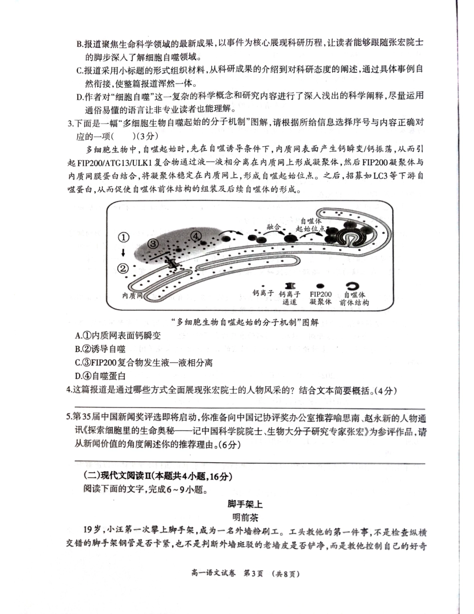 【广西卷】广西壮族自治区柳州市2024级高一12月联考试题（12.3-12.5）语文试卷.pdf_第3页
