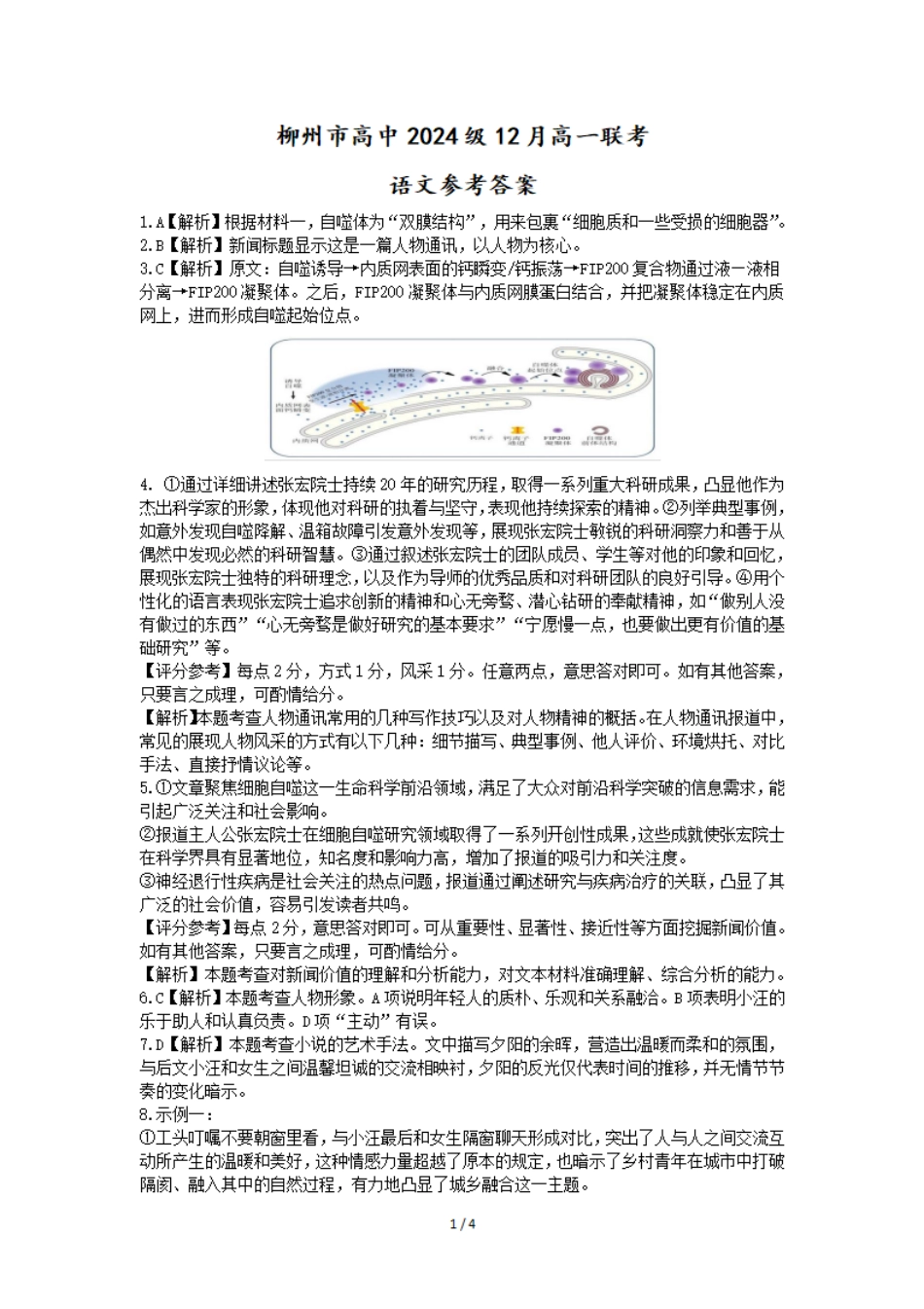 【广西卷】广西壮族自治区柳州市2024级高一12月联考试题（12.3-12.5）语文试卷答案.pdf_第1页