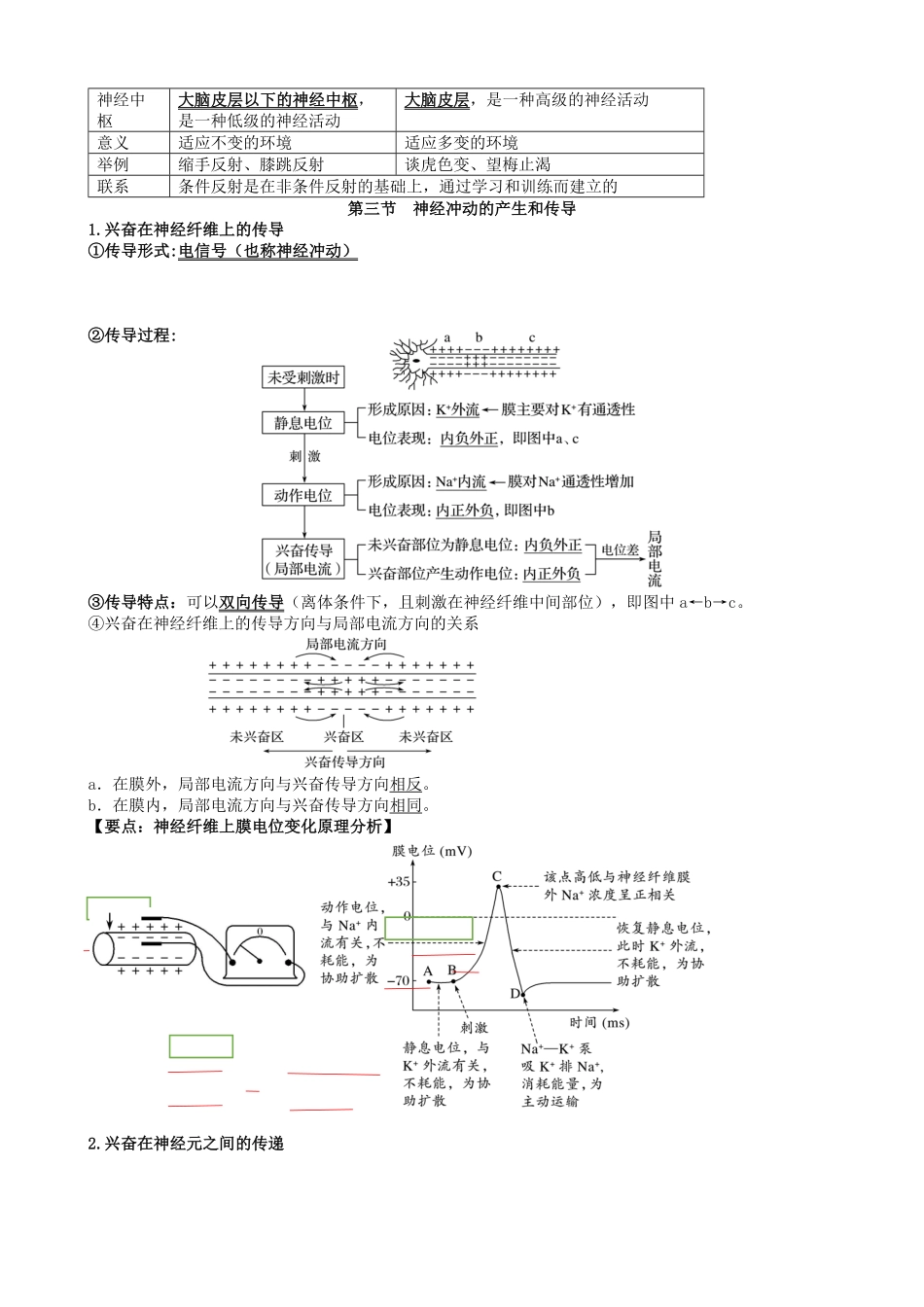 高三生物一轮复习知识点总结：选择性必修1含答案.pdf_第3页