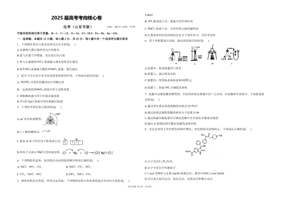 2025届高考化学考向核心卷 山东专版1（PDF版）.pdf_第1页