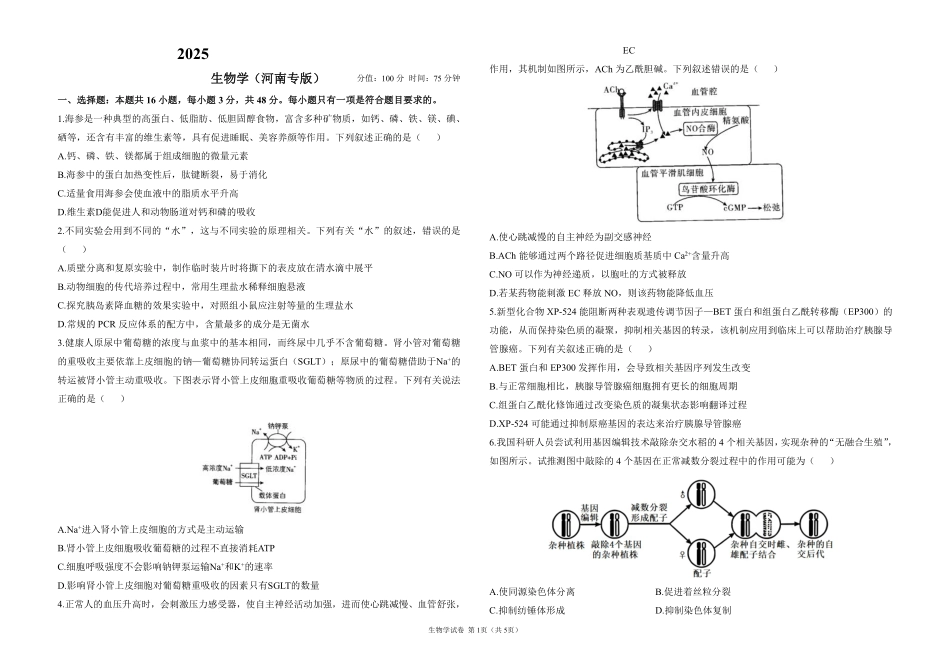 2025届高考生物考向核心卷 河南专版1（PDF版）.pdf_第1页