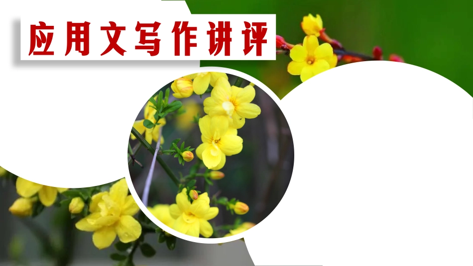 2025届高三英语基础写作之建议信：如何对他人的求助说不课件（共18张PPT).pptx_第1页