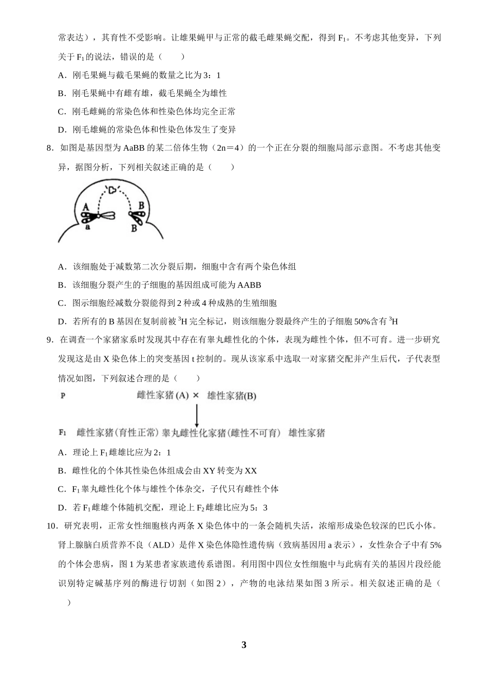 2025年菁优高考生物解密之遗传的细胞基础.docx_第3页
