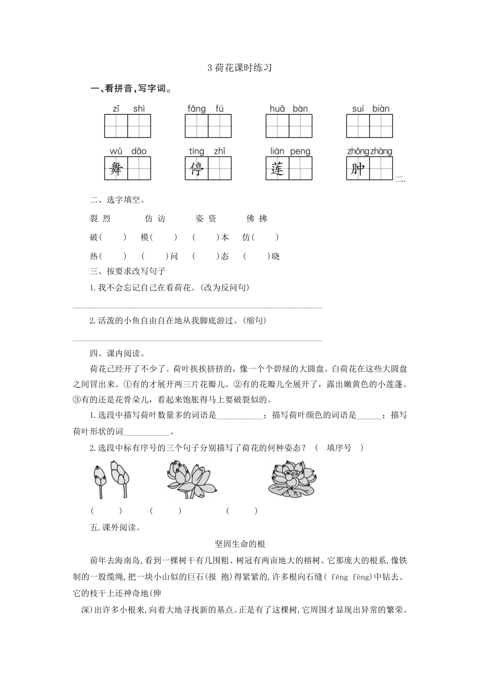 三年级下册语文部编版 荷花课时练习含答案.pdf_第1页