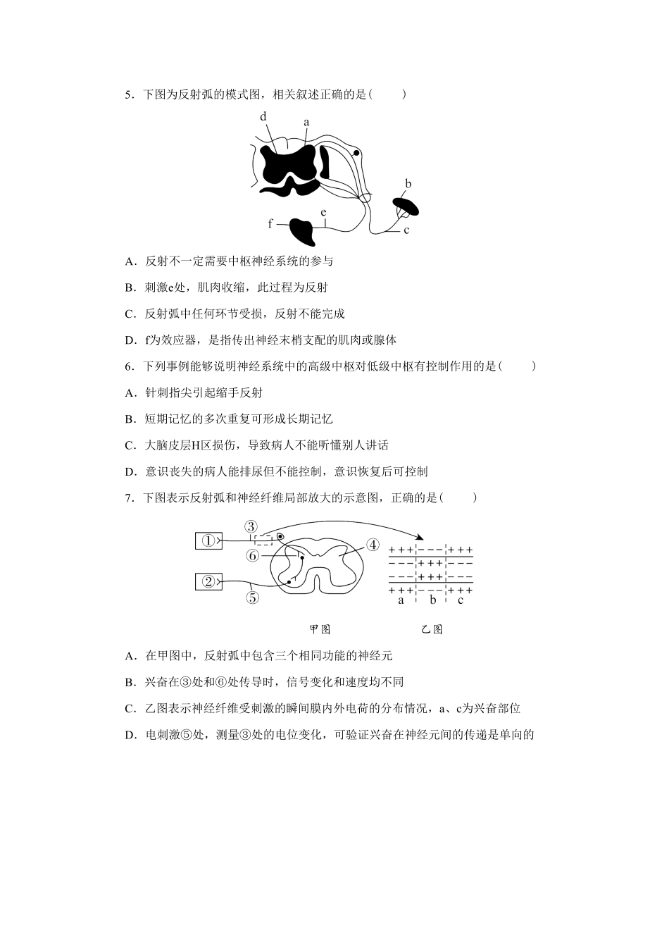 第2章 神经调节练习高二上学期生物人教版选择性必修1含答案.pdf_第2页