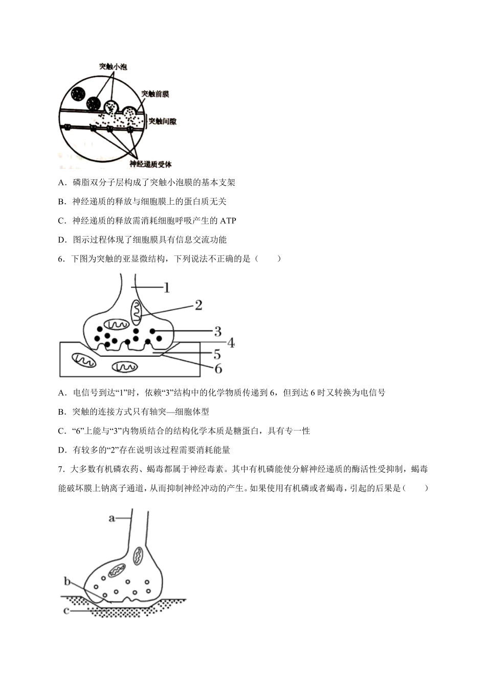 第2章 神经调节 单元测试卷 人教版2019高中生物选择性必修1含答案.pdf_第2页