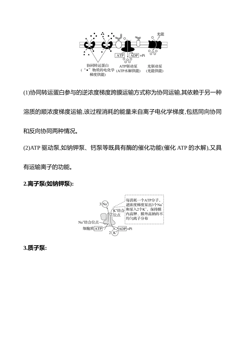 第二篇 专题二 第2讲 物质进出细胞的方式-2025版世纪金榜二轮生物收官专项辅导与训练.docx_第3页