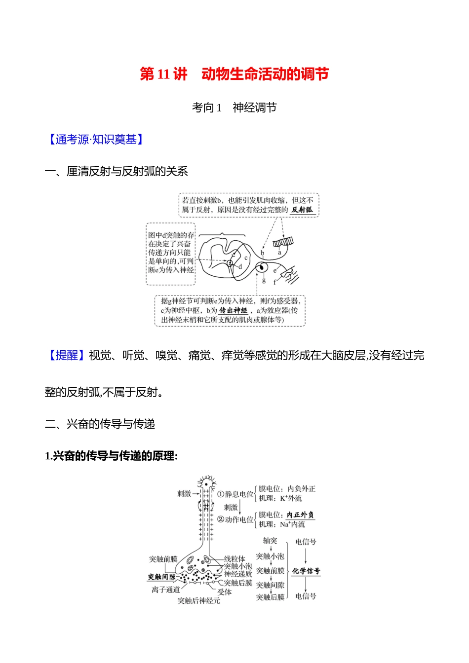 第二篇 专题六 第11讲 动物生命活动的调节-2025版世纪金榜二轮生物收官专项辅导与训练.docx_第1页