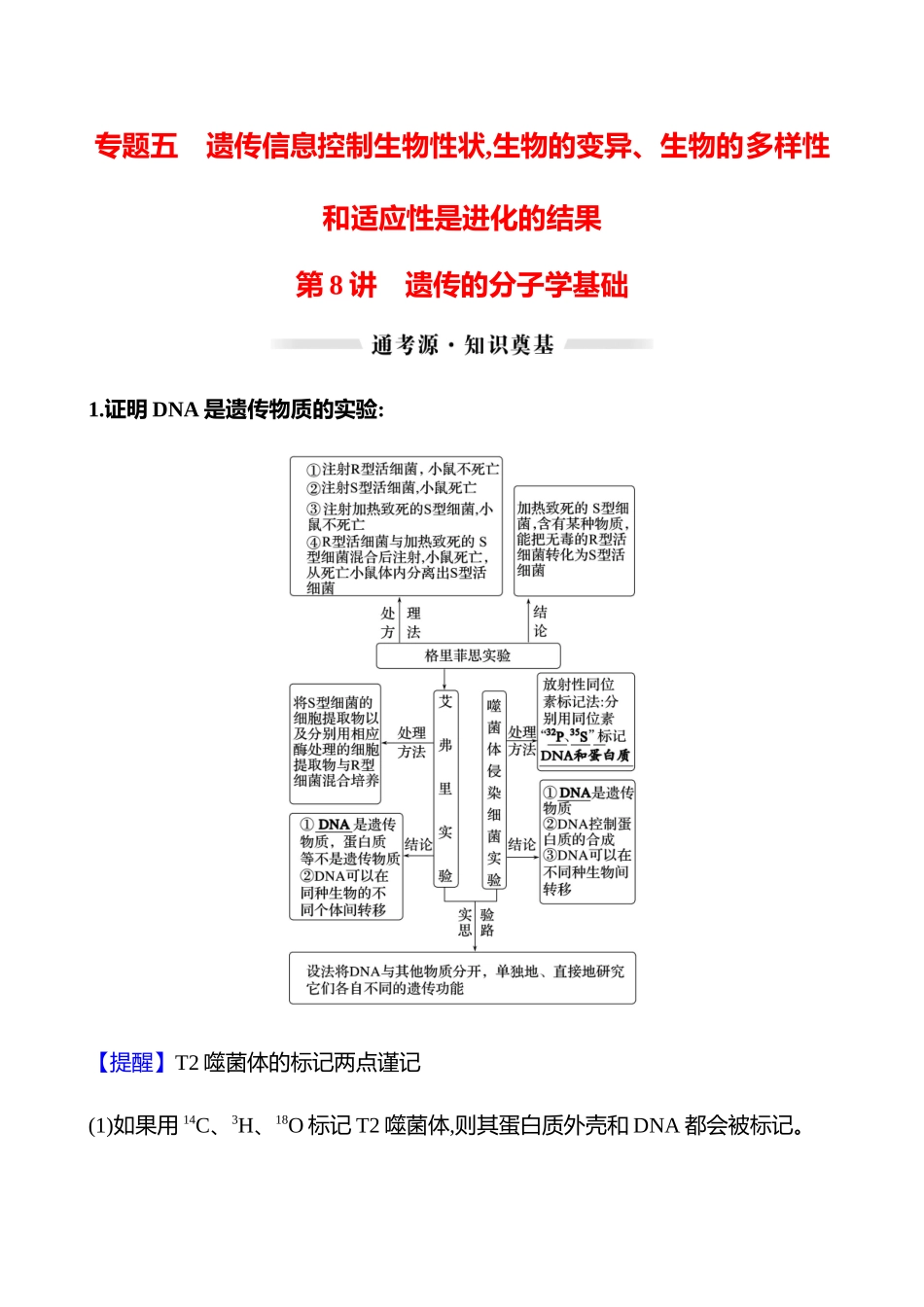 第二篇 专题五 第8讲 遗传的分子学基础-2025版世纪金榜二轮生物收官专项辅导与训练.docx_第1页