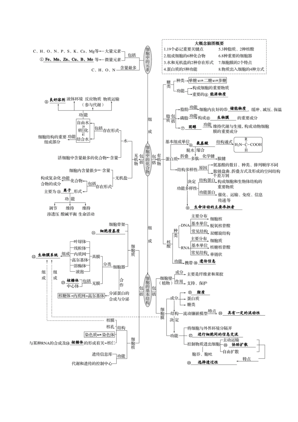 第一篇 六个大概念脑图-2025版世纪金榜二轮生物收官专项辅导与训练.docx_第2页