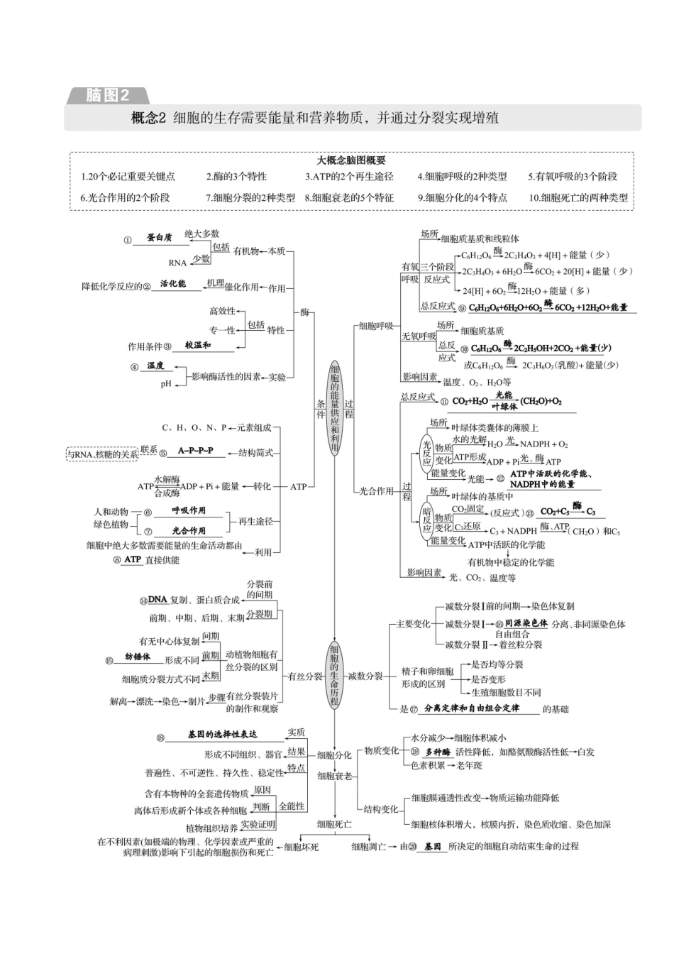 第一篇 六个大概念脑图-2025版世纪金榜二轮生物收官专项辅导与训练.docx_第3页