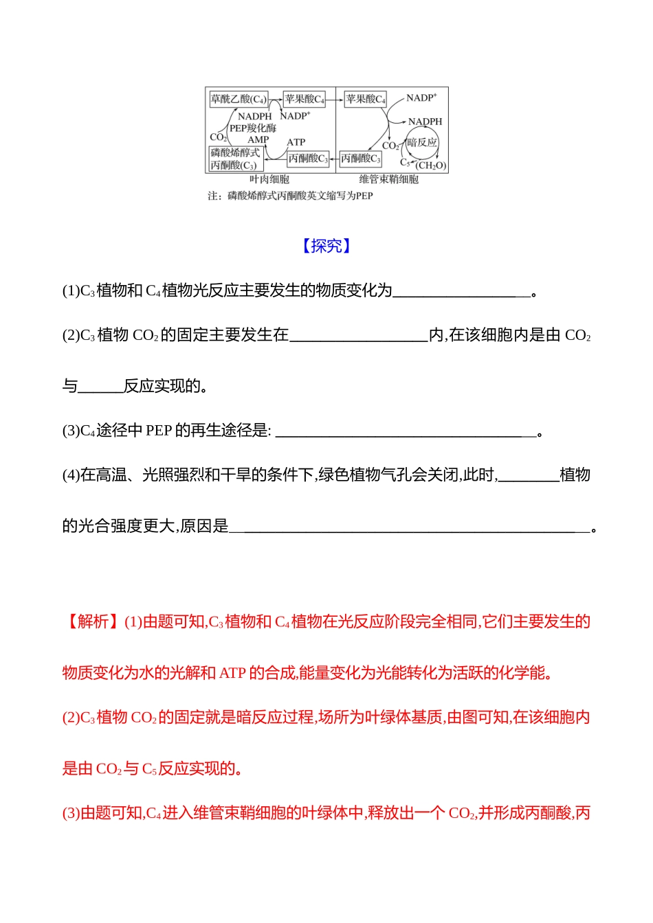 高阶思维应用3 C4 途径、CAM途径、光呼吸等特殊代谢类型-2025版世纪金榜二轮生物收官专项辅导与训练.docx_第2页