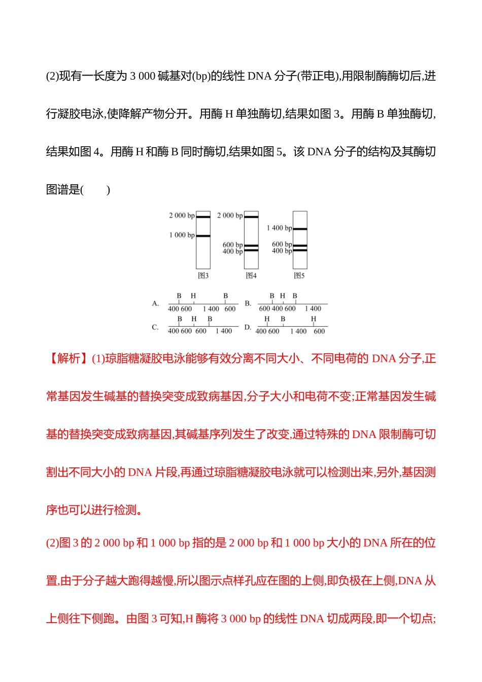 高阶思维应用5 基因检测、遗传系谱图与电泳图谱分析-2025版世纪金榜二轮生物收官专项辅导与训练.docx_第2页
