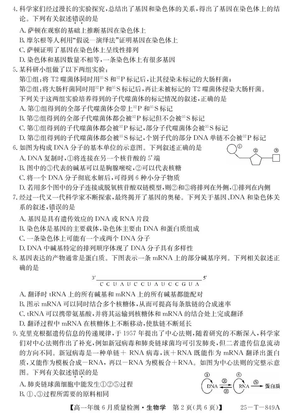 河北省邢台市七县多校2024-2025学年高一下学期6月质量检测试题生物含解析.pdf_第2页
