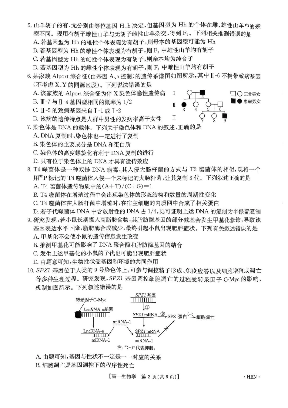 河南省创新发展联盟2024-2025学年高一下学期6月期末生物试题.pdf_第2页