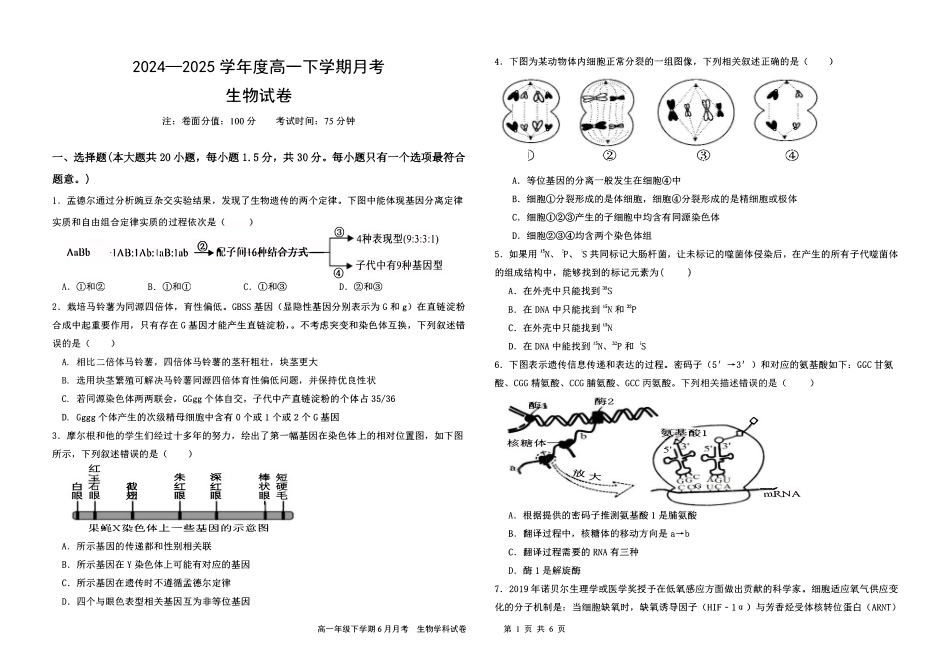 黑龙江省双鸭山市第一中学2024-2025学年高一下学期6月月考生物试卷（有答案）.pdf_第1页