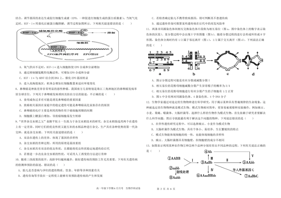 黑龙江省双鸭山市第一中学2024-2025学年高一下学期6月月考生物试卷（有答案）.pdf_第2页