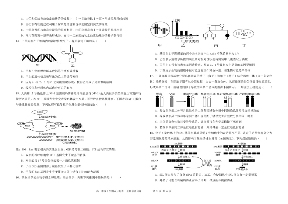 黑龙江省双鸭山市第一中学2024-2025学年高一下学期6月月考生物试卷（有答案）.pdf_第3页