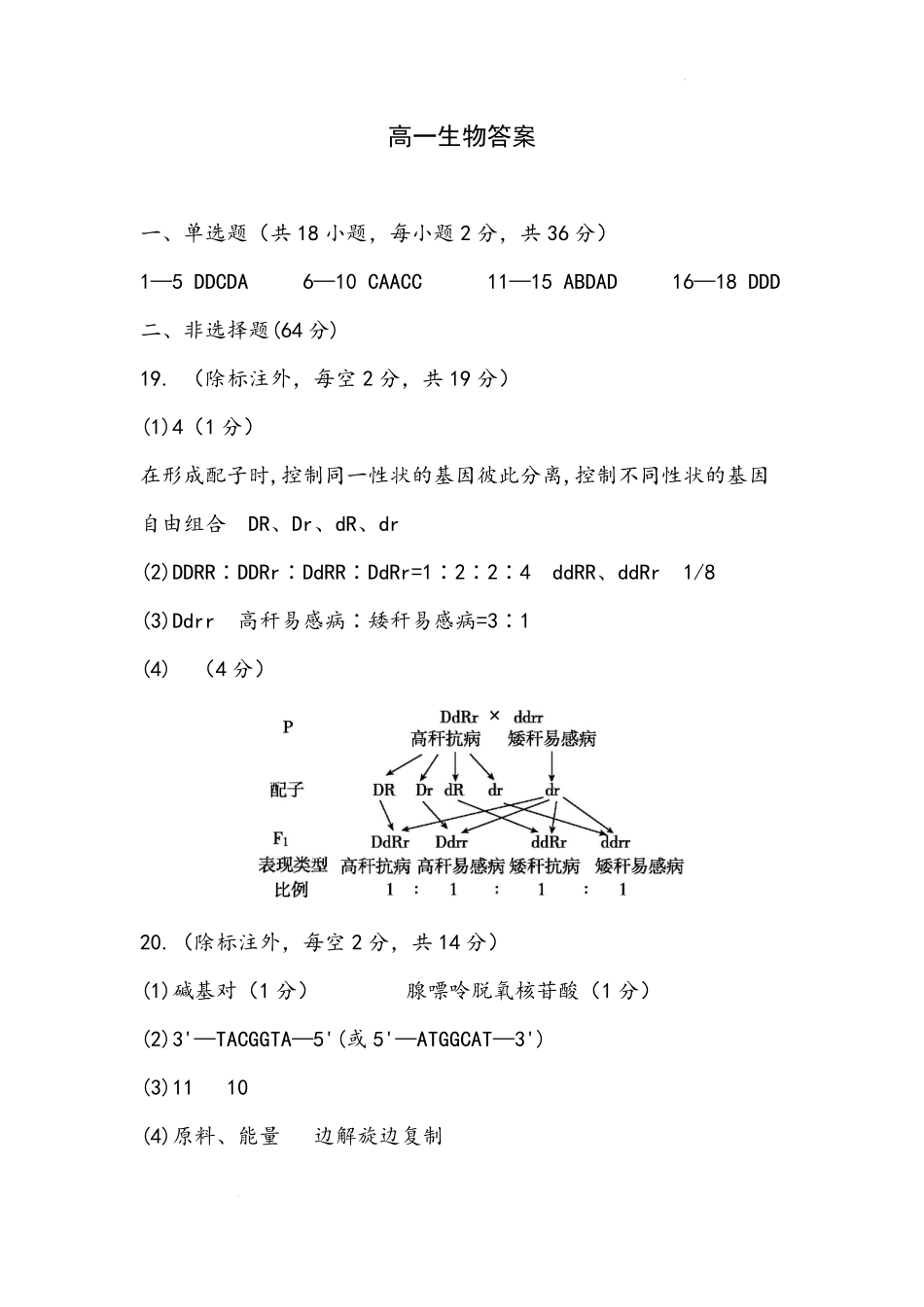 湖北省武汉市新洲区问津联盟2024-2025学年高一下学期6月期末生物答案.pdf_第1页