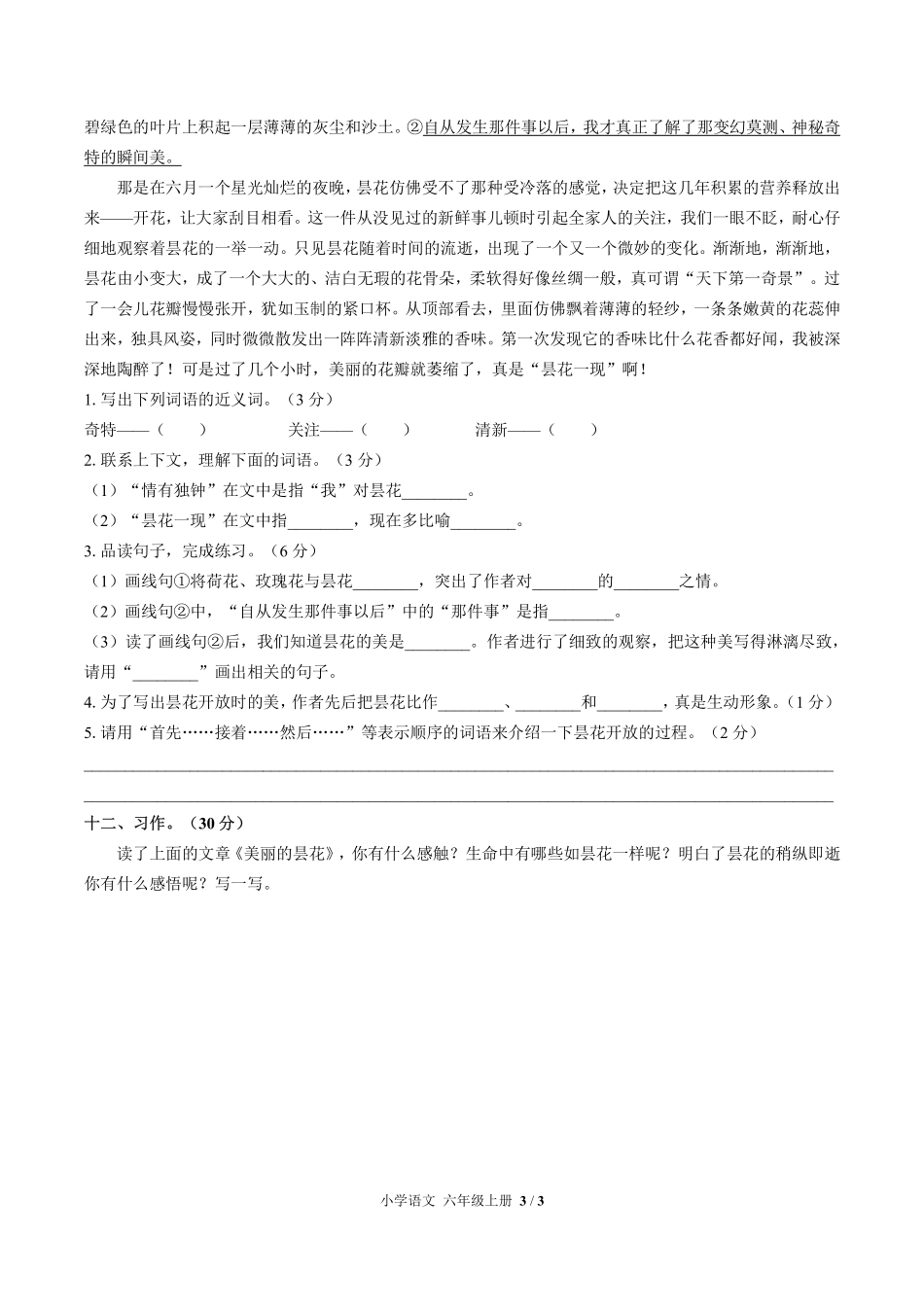 人教版部编版小学语文六年级上册期末测试试卷-含答案03.pdf_第3页