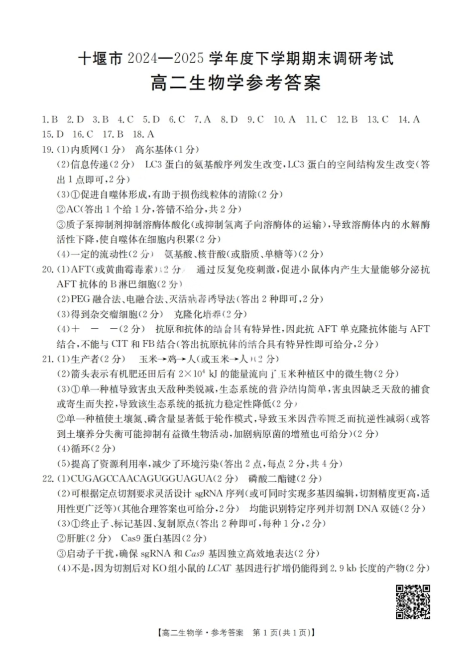 生物答案-湖北省十堰市2024-2025学年度高二下学期期末调研考试.pdf_第1页
