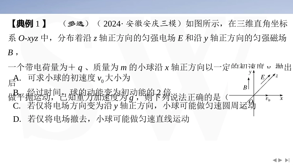素养培优5　带电粒子在三维空间中的运动-2025版三维设计二轮复习高考物理.pptx_第3页