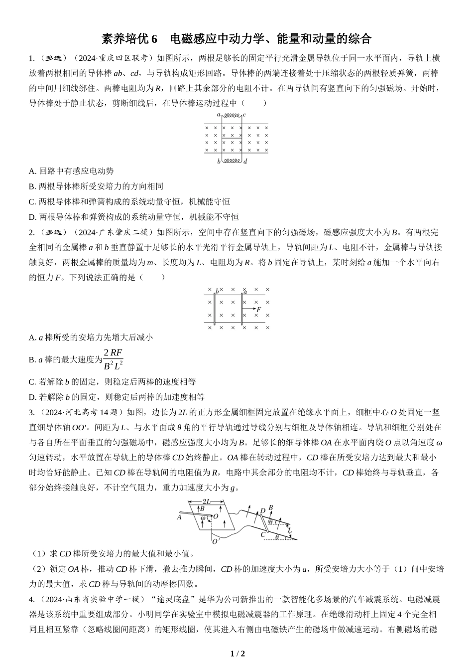 素养培优6　电磁感应中动力学、能量和动量的综合(2)-2025版三维设计二轮复习高考物理.docx_第1页