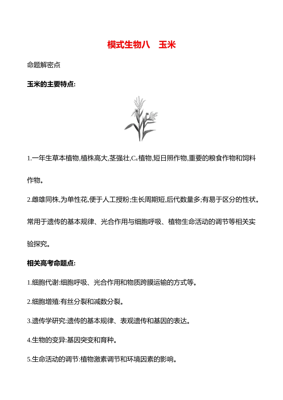 专项二　模式生物八　玉米-2025版世纪金榜二轮生物收官专项辅导与训练.docx_第1页